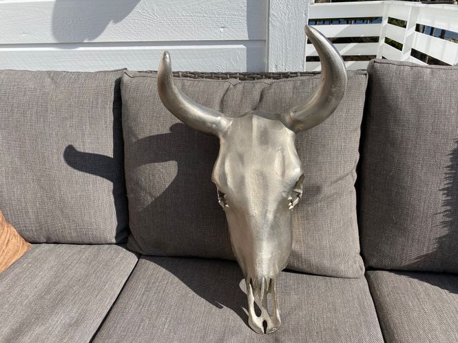 Hovedbilde Bullhead i Lettmetall